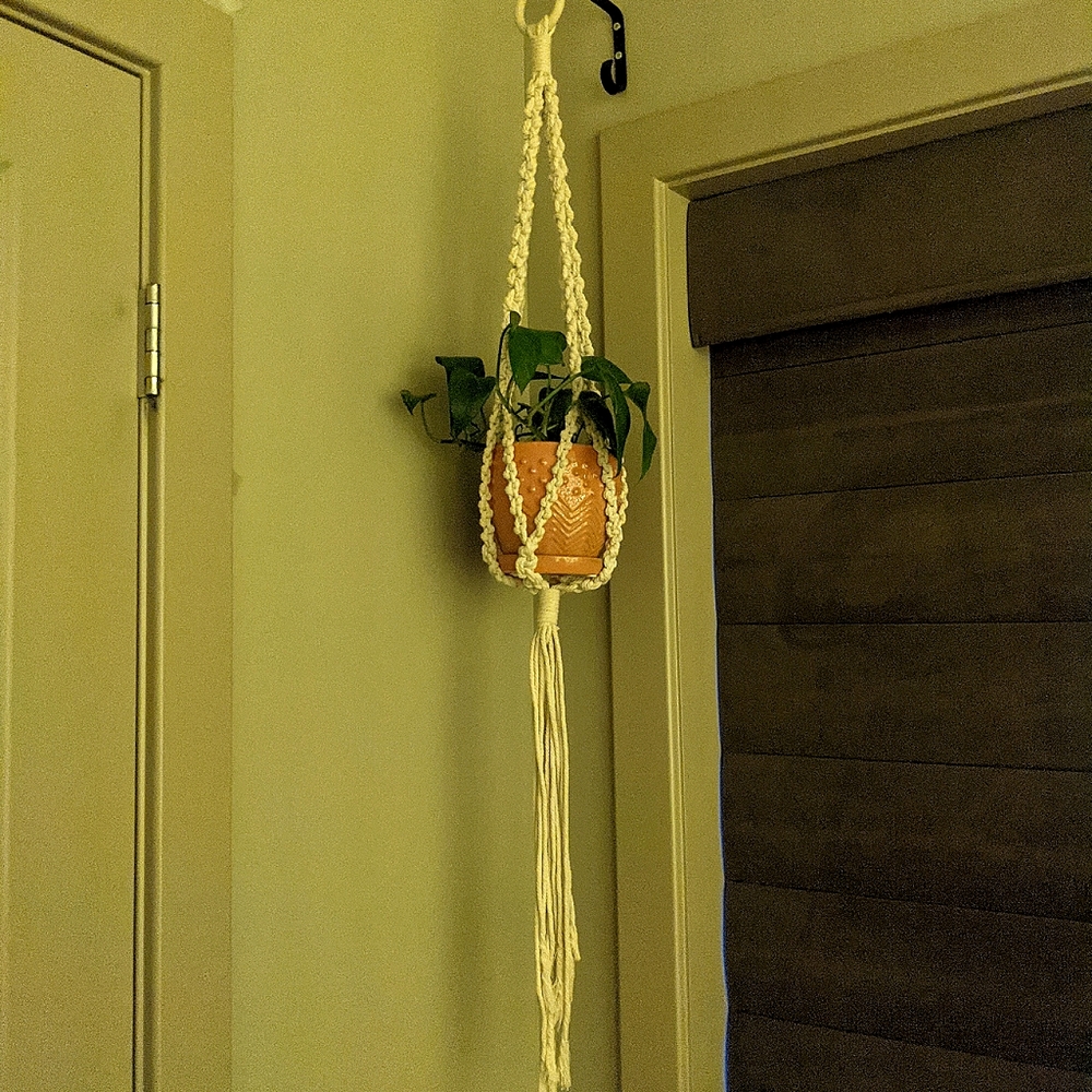 Macrame Plant Hanger